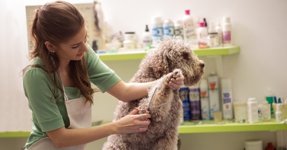 What Insurance Do Prince George Pet Groomers Need