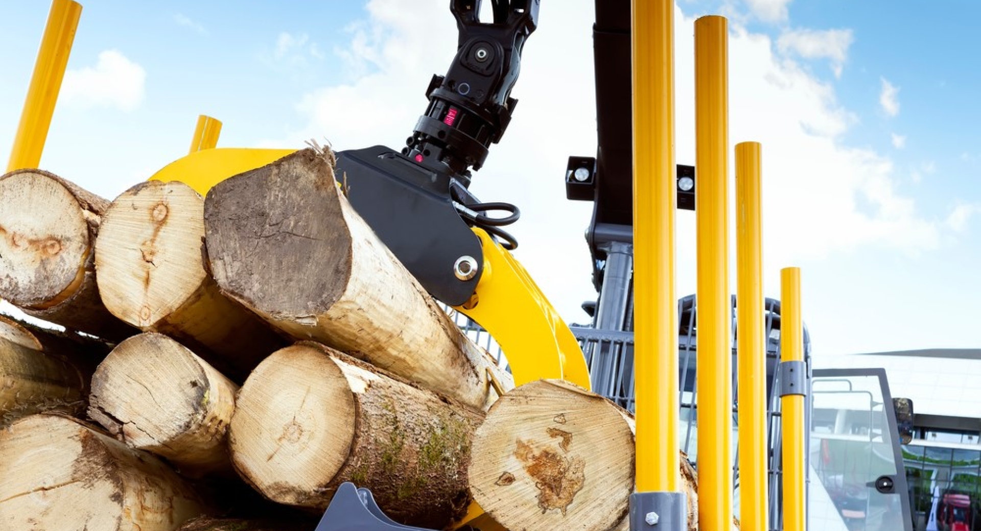 Why Prince George Forestry Companies Need Customized Insurance