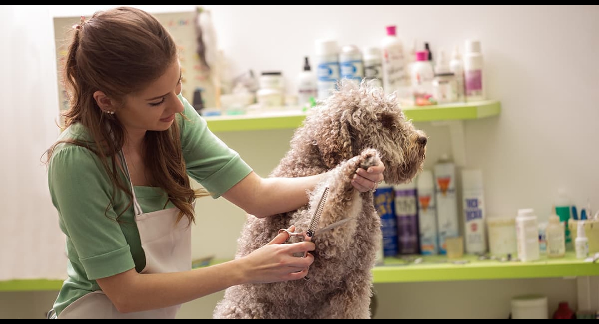 What Insurance Do Prince George Pet Groomers Need